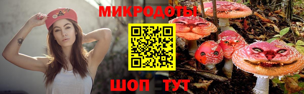 Галлюциногенные грибы Magic Shrooms  Вход с VPN  Галлюциногенные грибы прущие грибы  Кольчугино 